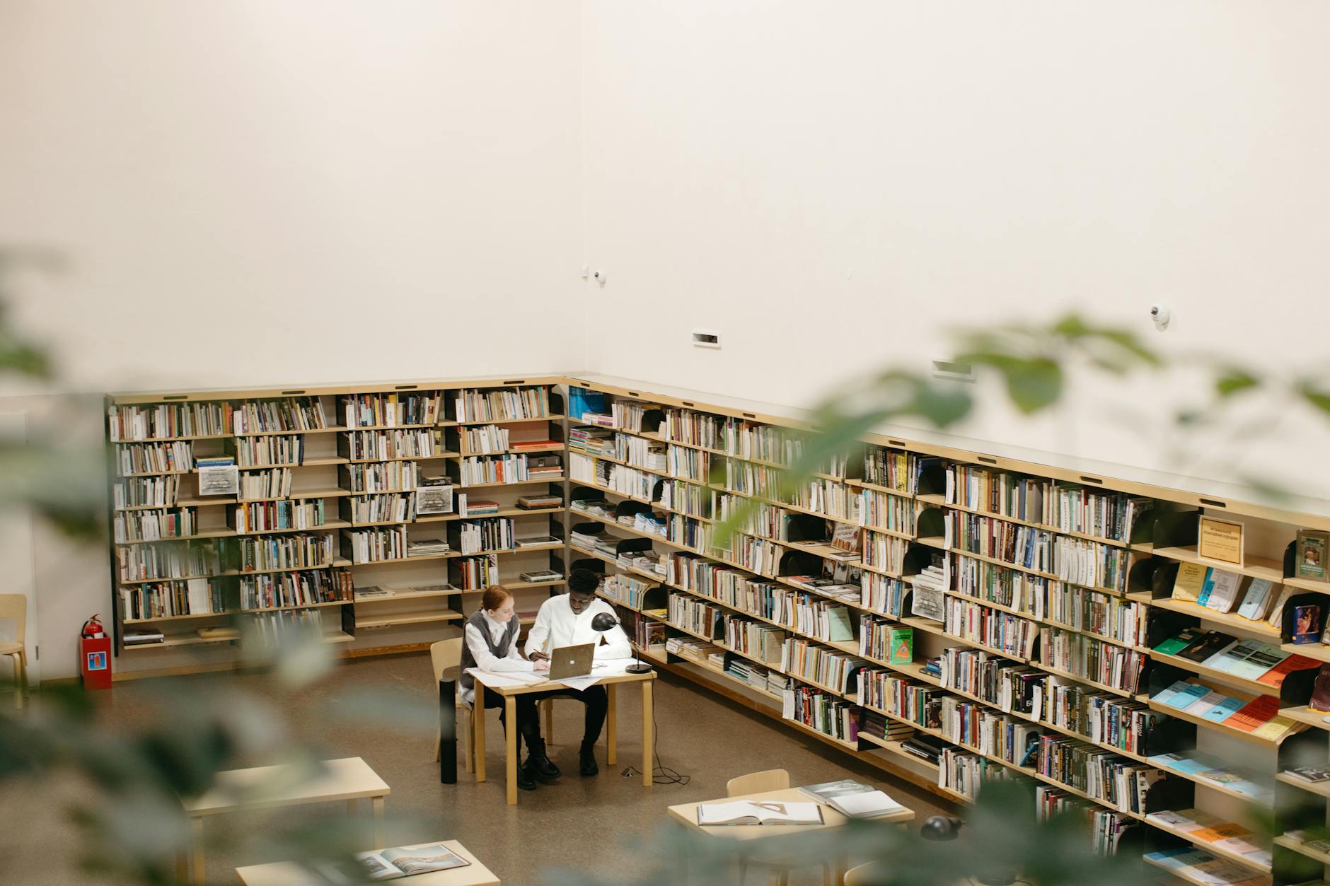 students studying at the library