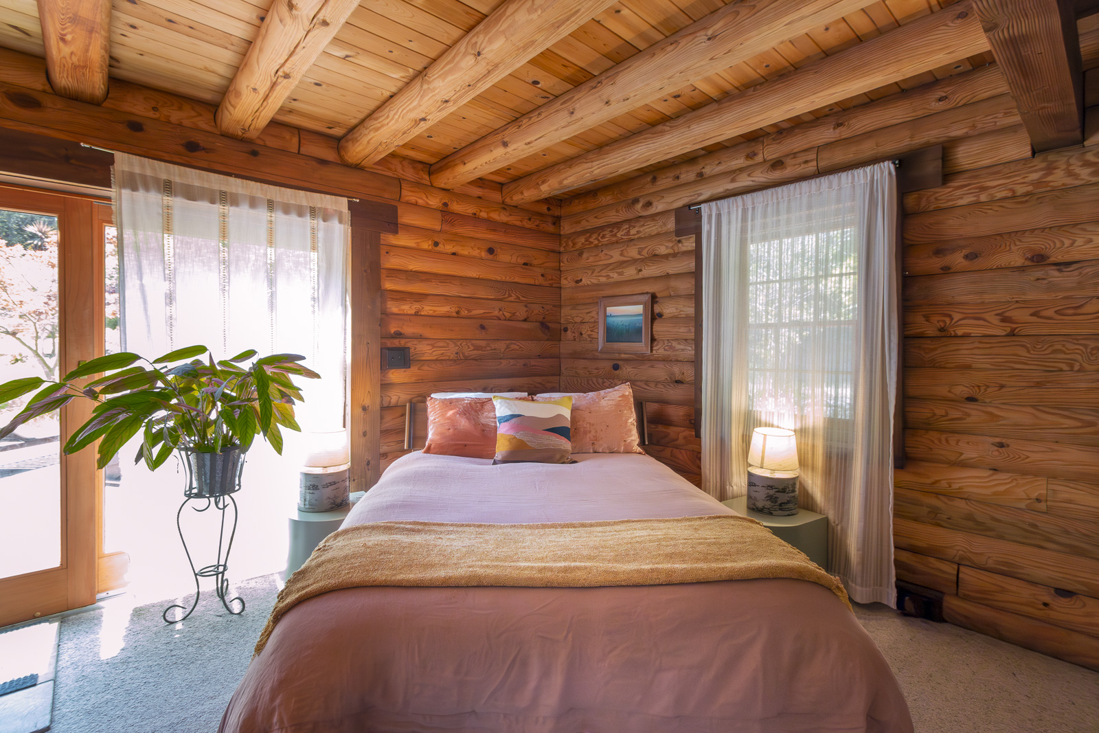 |white surface|interior of modern bathroom with shower cabin|gray wood plank|brown and grey wooden house beside green leaf tall tree||||