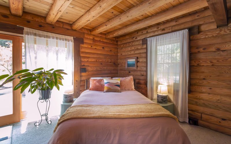 |white surface|interior of modern bathroom with shower cabin|gray wood plank|brown and grey wooden house beside green leaf tall tree||||