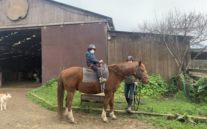 Horseback Riding at Ricochet Ranch
